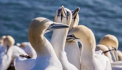 玉溪最新公积金卡提取现金方法app方法分析(最方便真实的玉溪公积金卡怎样从手机里取出来?方法)