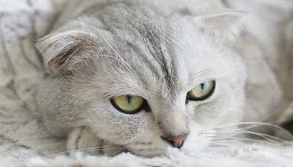 玉溪最新公积金卡提取现金操作及规定方法分析(最方便真实的玉溪公积金卡提取现金操作及规定是什么方法)