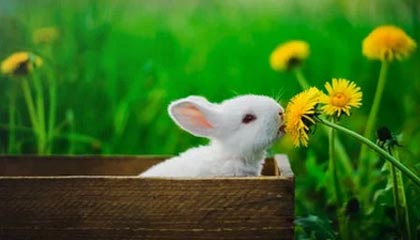 玉溪最新公积金卡提取现金方法app方法分析(最方便真实的玉溪公积金卡怎样从手机里取出来?方法)